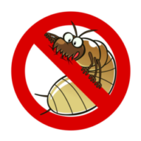 Termite Fumigation Expert Answers Your FAQs