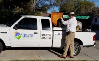 What to Expect from Professional Pest Control