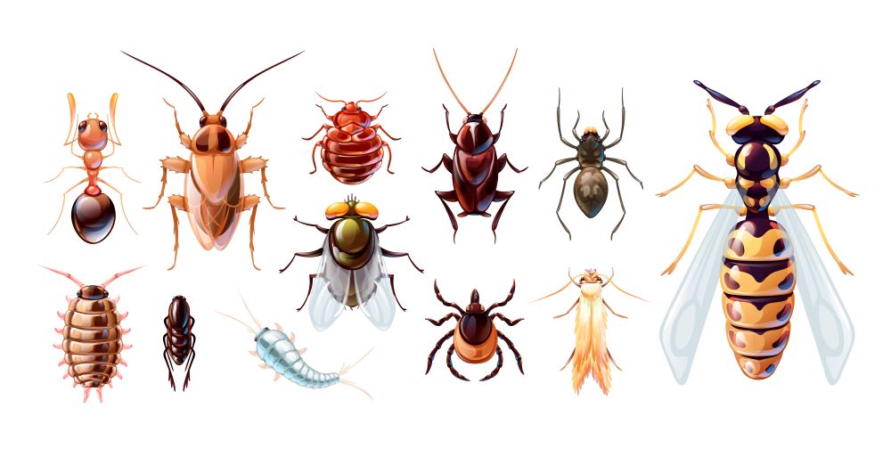 common household pests