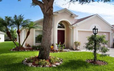 Modern Pest Control Trends Homeowners Should Know